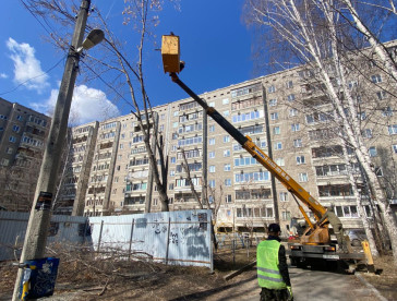 Спил деревьев в Екатеринбурге и Свердловской области